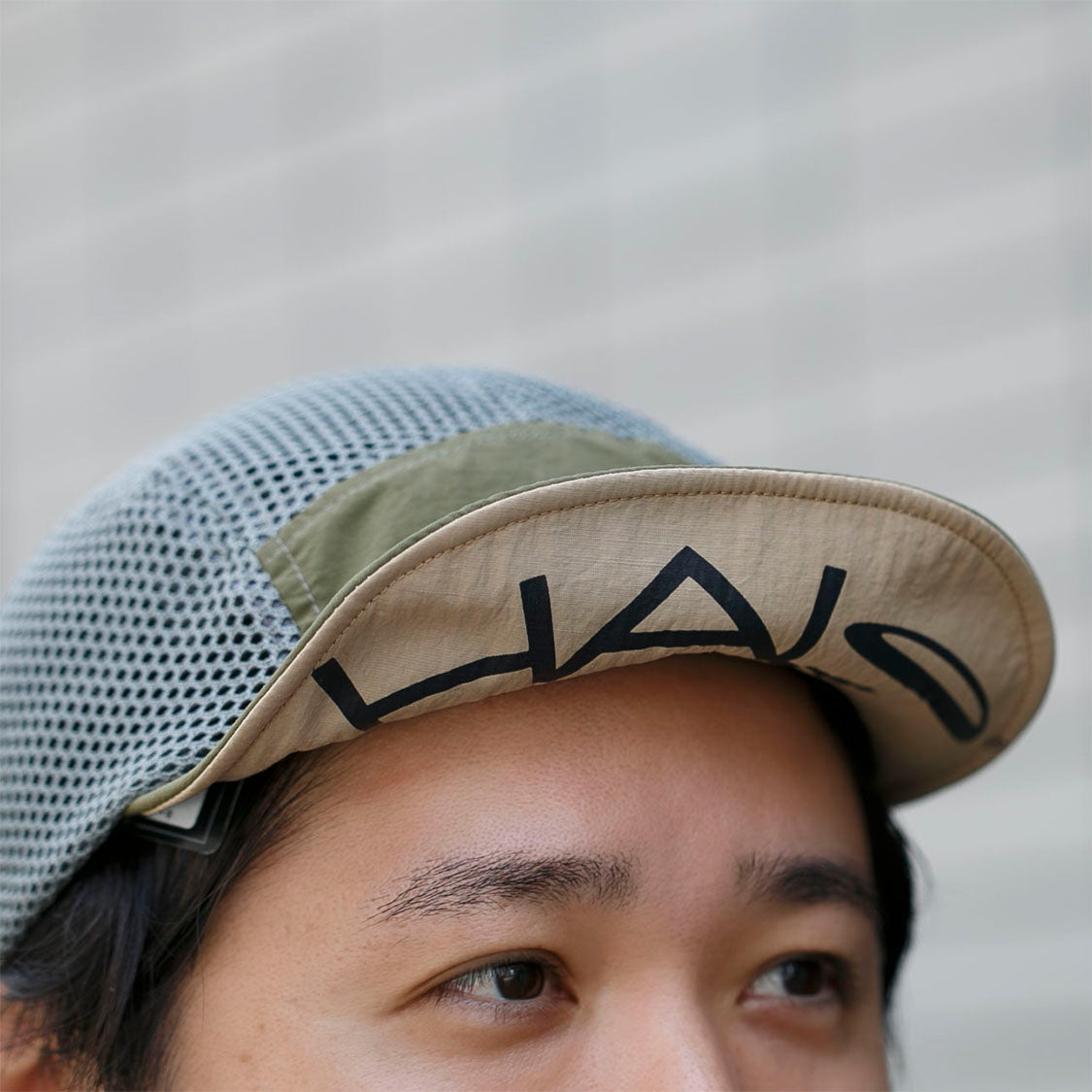 へイロ /トレイル 2