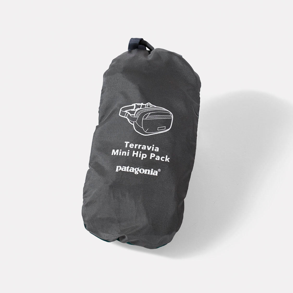 パタゴニア / テラヴィア・ミニ・ヒップ・パック 1L